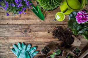 spring gardening tools