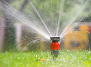 Sprinkler head spraying water