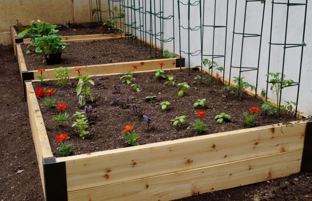 Grow Boxes