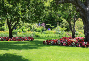 A beautiful and cool looking yard.