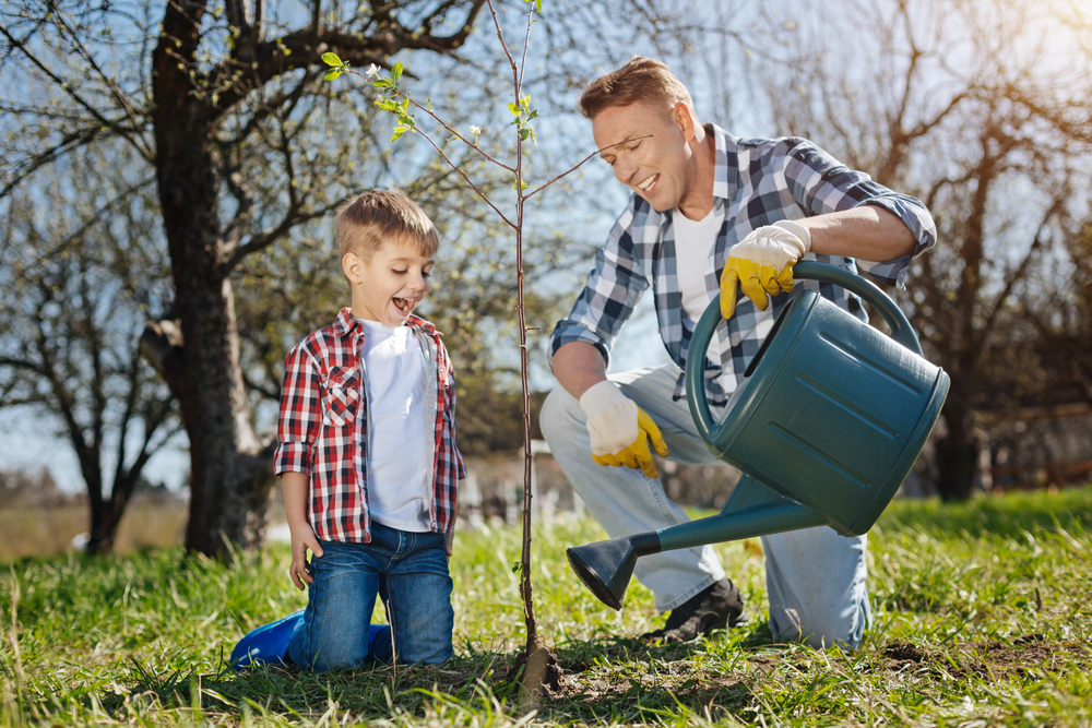 Father and son planting