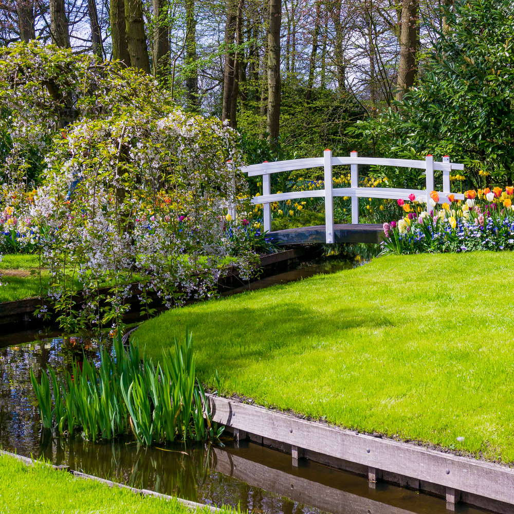 Stream in garden landscape