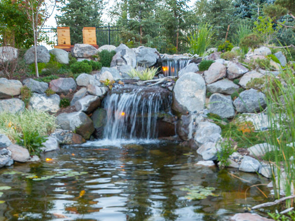 waterfall with pond