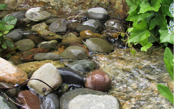 stream flowing over river rock