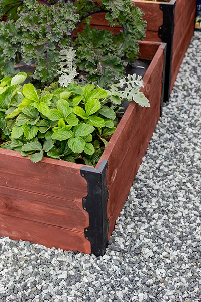 garden boxes with gravel around