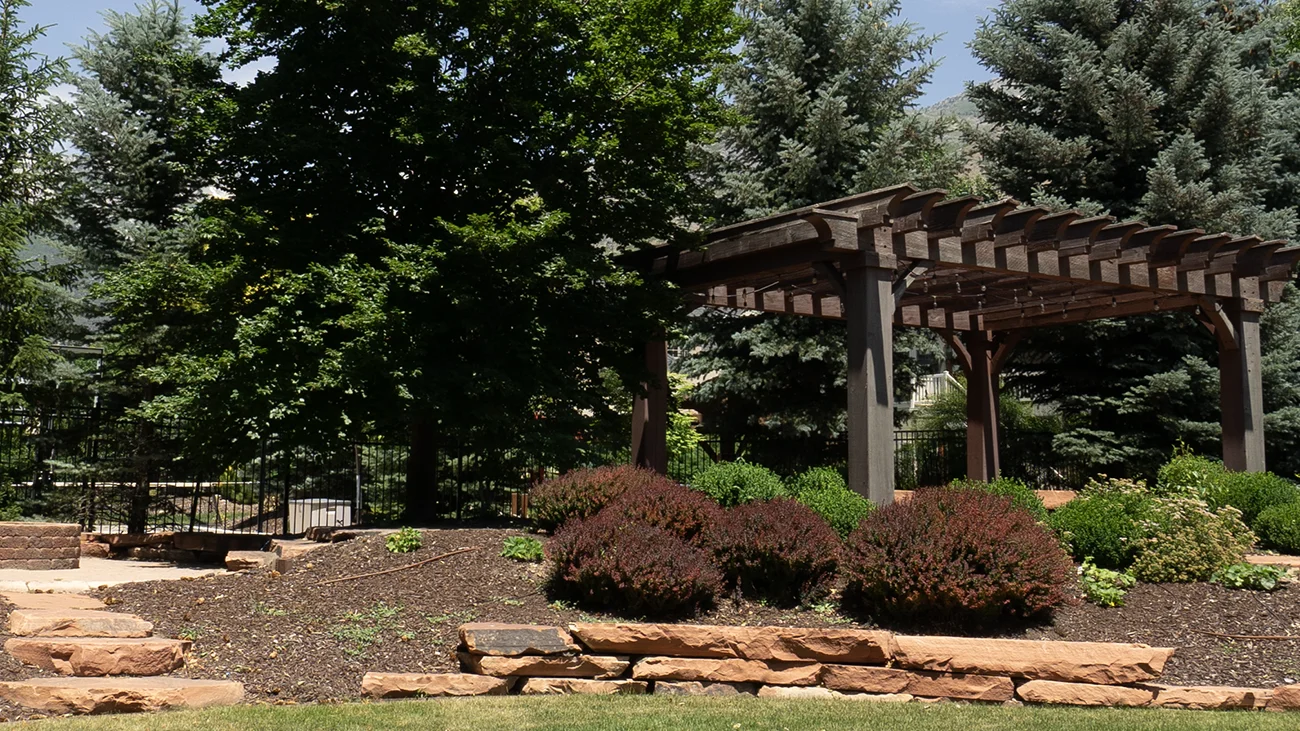 a pergola surrounded by mulched bed with bushes and a small rock wall