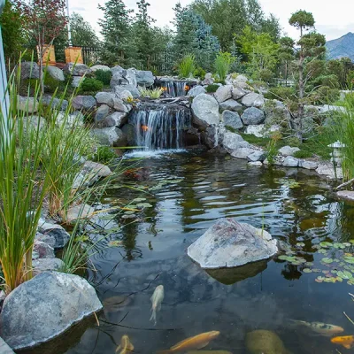 Custom waterfall and fish pond